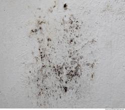 Wall Plaster Dirty